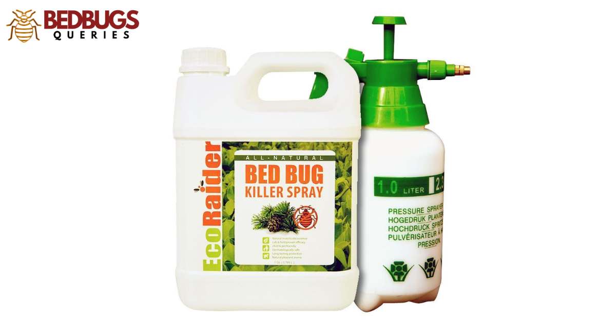 Can Hand Sanitizer Kill Bed Bugs