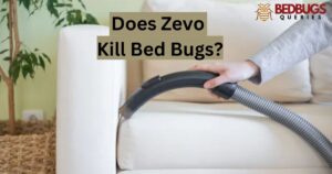Does Zevo Kill Bed Bugs?