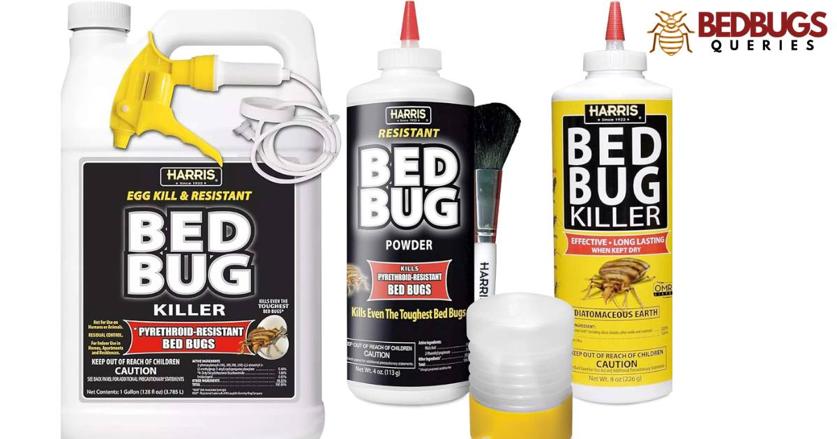 Is Hot Shot Bed Bug Spray Harmful To Humans?