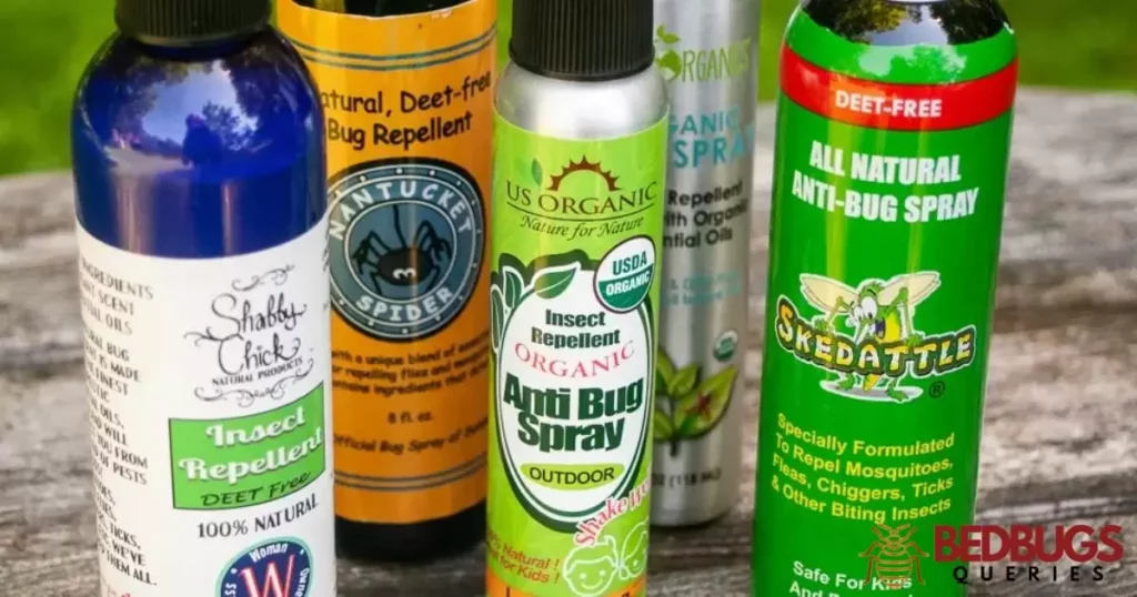 Eucalyptus vs. Traditional Bed Bug Repellents