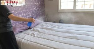 Can Air Freshener Kill Bed Bugs?