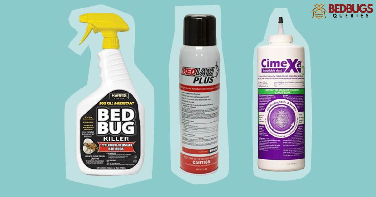 Can Roach Spray Kill Bed Bugs?