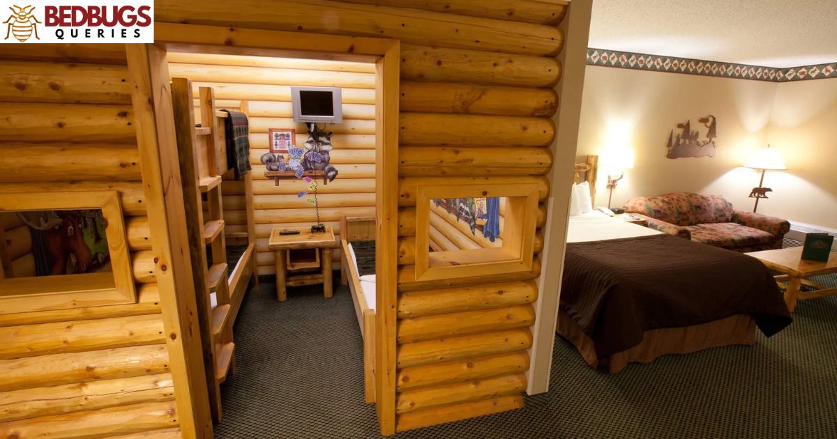 Does Great Wolf Lodge Have Bed Bugs?