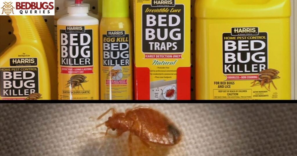 Expert Opinions On Using Harris Bed Bug Killer Around Pets