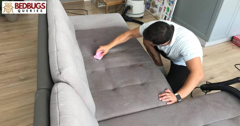 Steam Cleaning Your Couch to Eliminate Bed Bugs