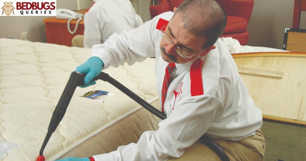 Treating Bed Bug-Infested New Furniture