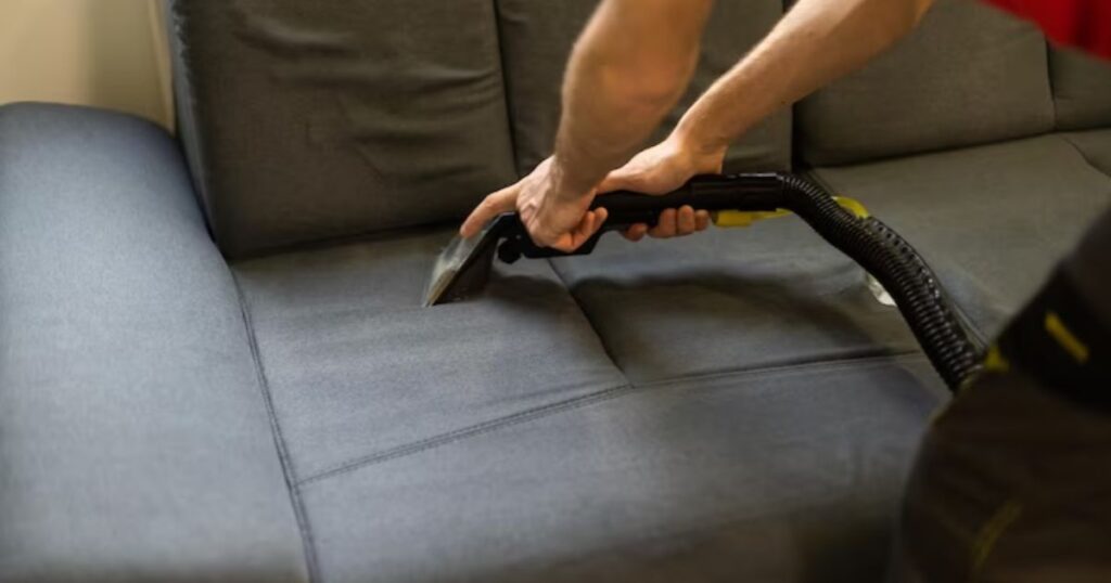 Best Practices for Maintaining a Bed Bug-Free Leather Couch