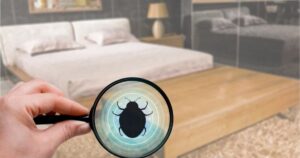 Do Bed Bugs Live in Electronics?