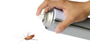 does-ortho-bed-bug-spray-kill-roaches