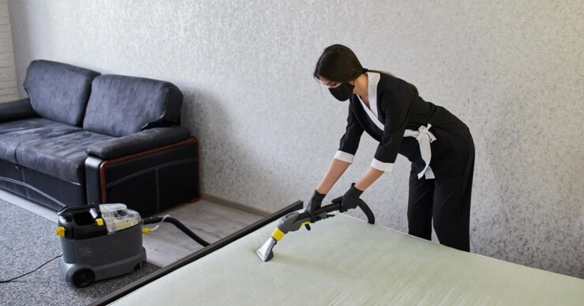 Treating and Eliminating Bed Bugs in Leather Couches